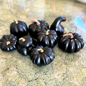 Black Halloween Pumpkins and Squash Decorations. Set 8 (3-4”)
